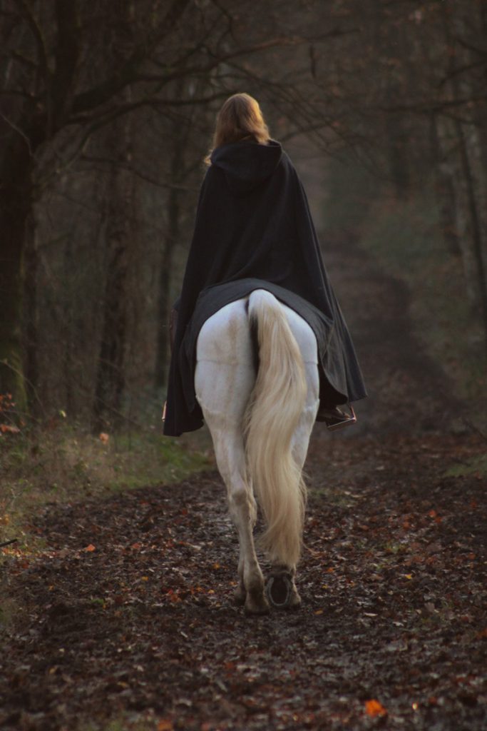 JenHartny - Pferdefotografie im Saarland!