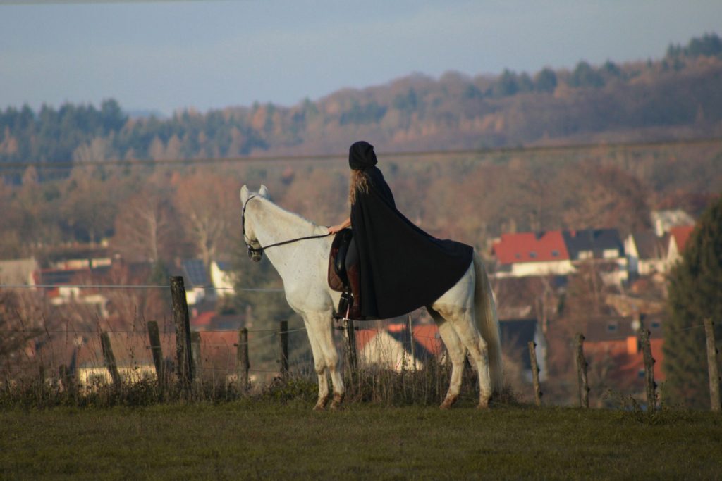 JenHartny - Pferdefotografie im Saarland!